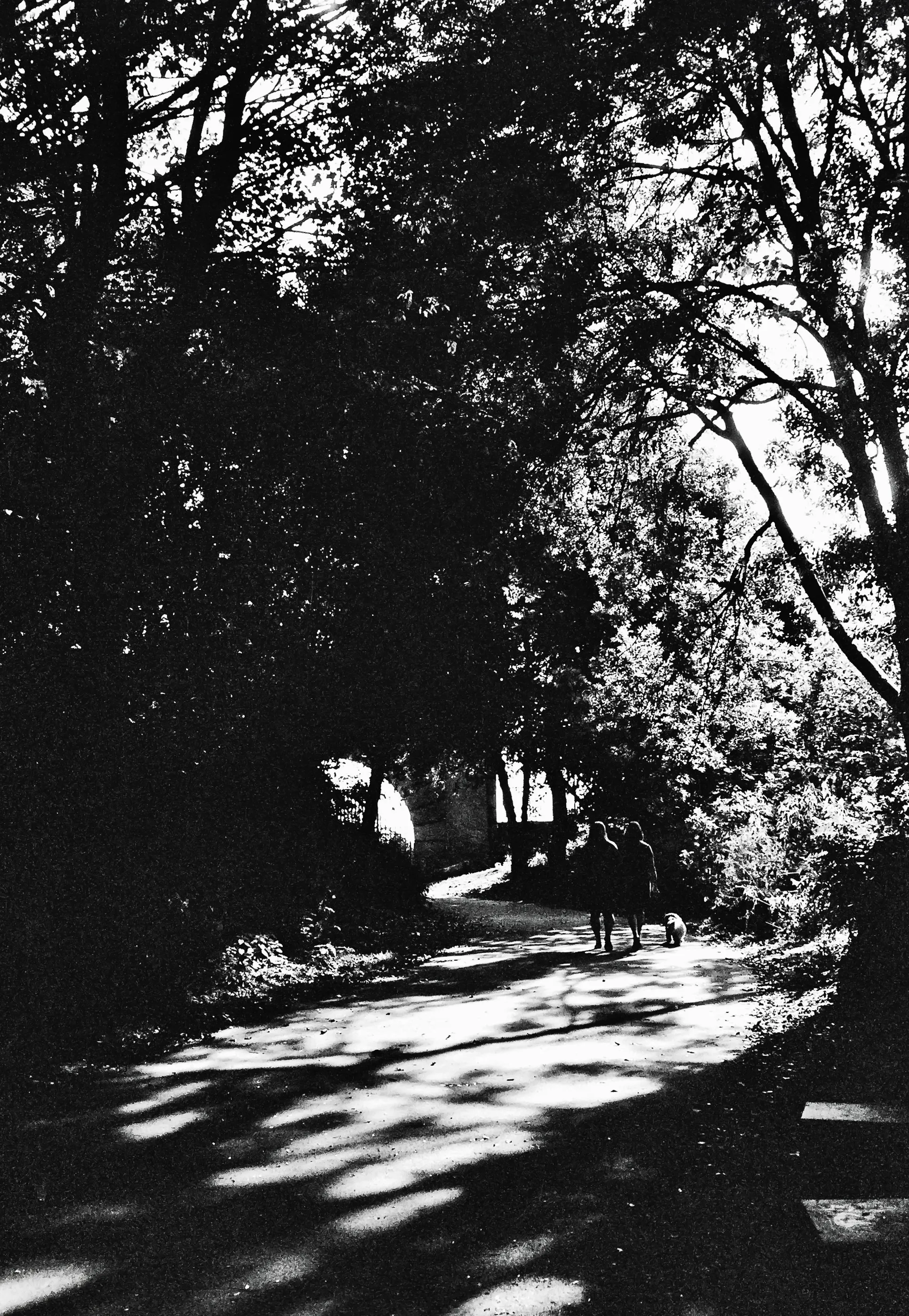 03)High contrast 2 people.webp